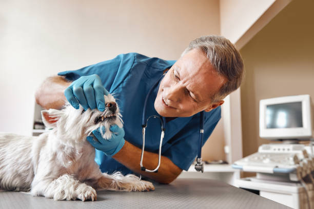 Best Emergency Treatment for Dental Infections or Abscesses in Kenwood, OH